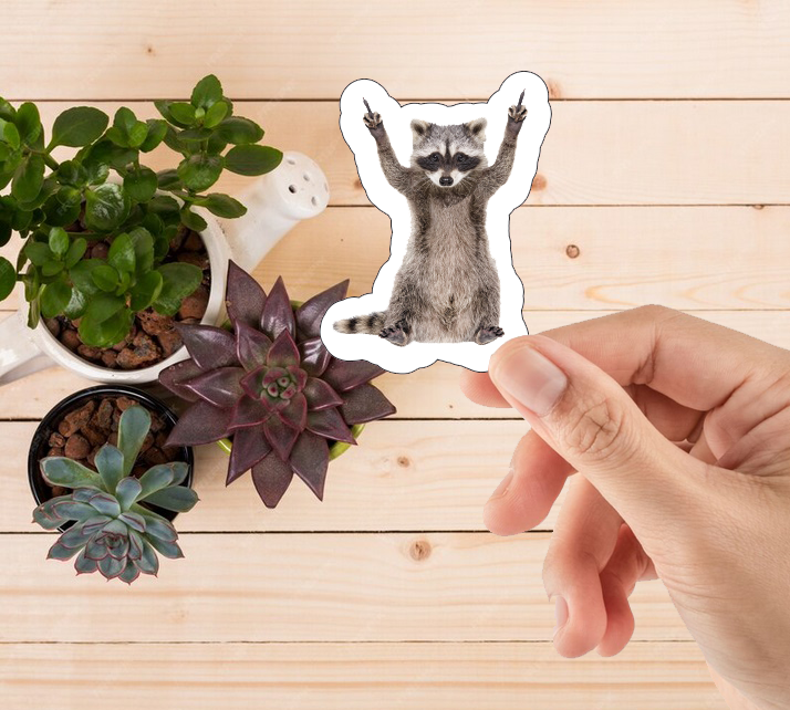 raccoon middle finger, funny raccoon, printable sticker, Laptop Sticker, Digital Art, Stickers, Water Bottle Sticker, planner sticker, Die-Cut Sticker, Laptop Sticker, Water Bottle Sticker, planner sticker, custom sticker